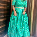 Pleated Gown from Saree