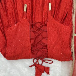 Chikan Work Anarkali Set (Karwachauth Special) - Image 6