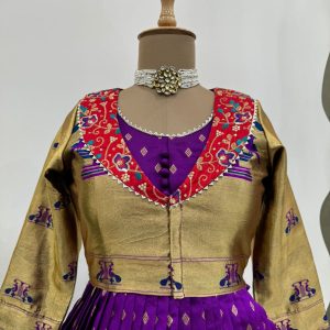 Anarkali Gown with Koti - Image 6
