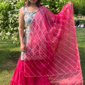 Pretty in Pink Sharara Set - Image 6