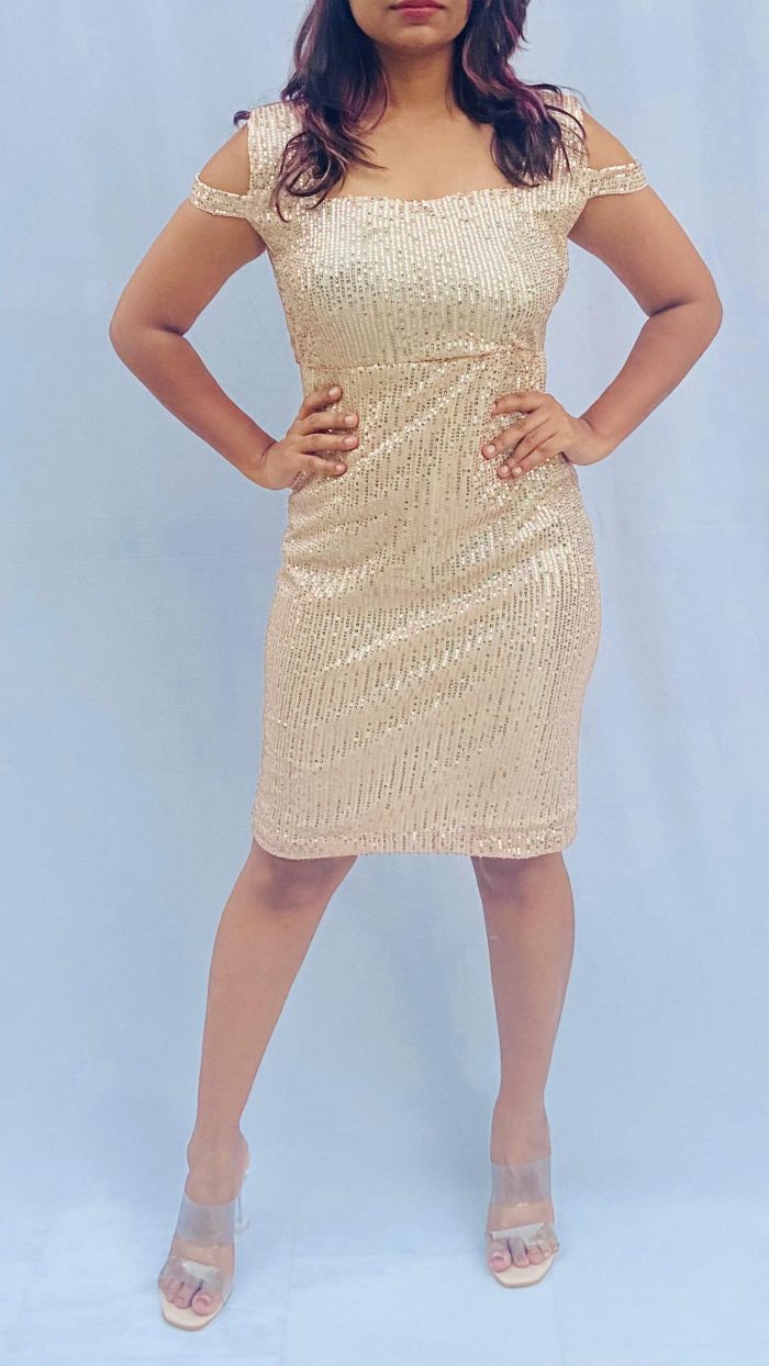 Knee Length Sequins Bodycon Dress - Image 4