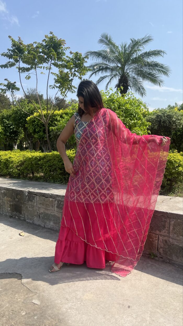 Designer Sharara Set - Image 5