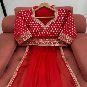 Designer but Decent Bridal Saree - Image 4